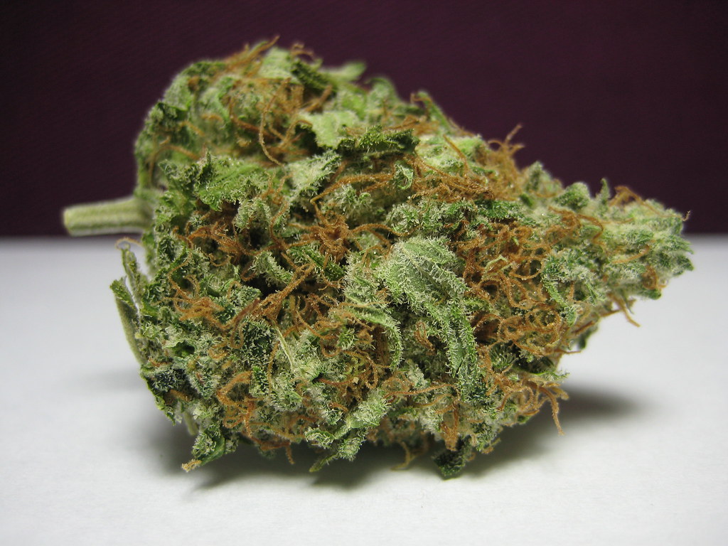 How to cure your marijuana buds
